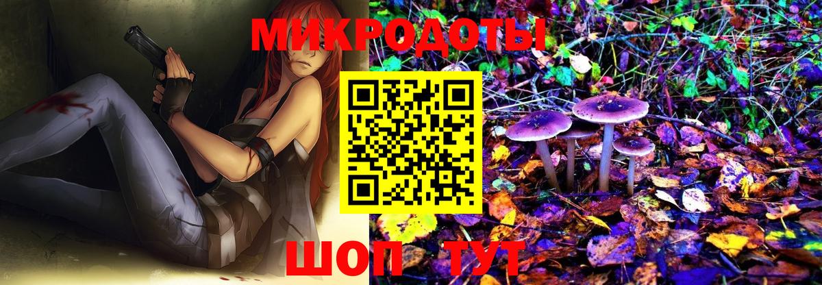 Псилоцибиновые грибы Cubensis  Артёмовский 