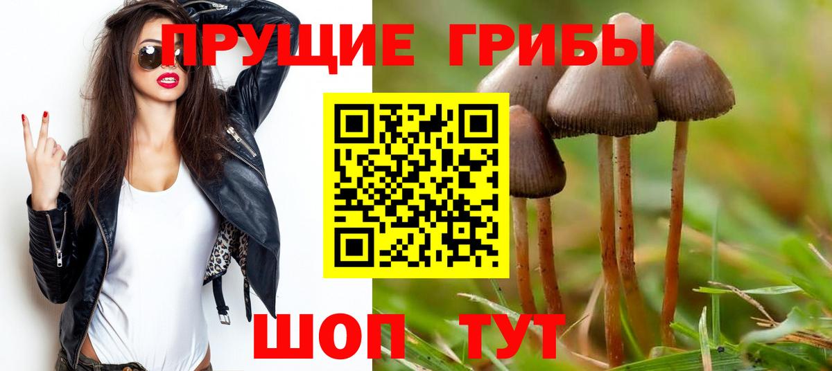 Псилоцибиновые грибы Cubensis  Вход с VPN  Артёмовский 